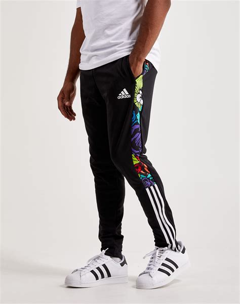 where to buy adidas pants